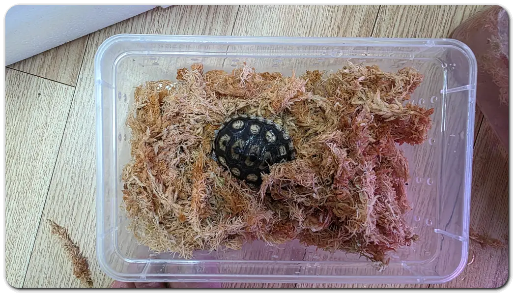 무사히-도착한-오네이트-테라핀