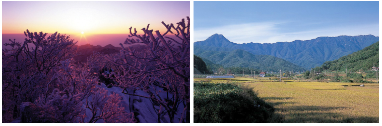 팔공산 과 용문산 소개 사진