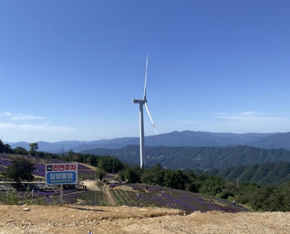 전국 가을 꽃 축제 추천 BEST