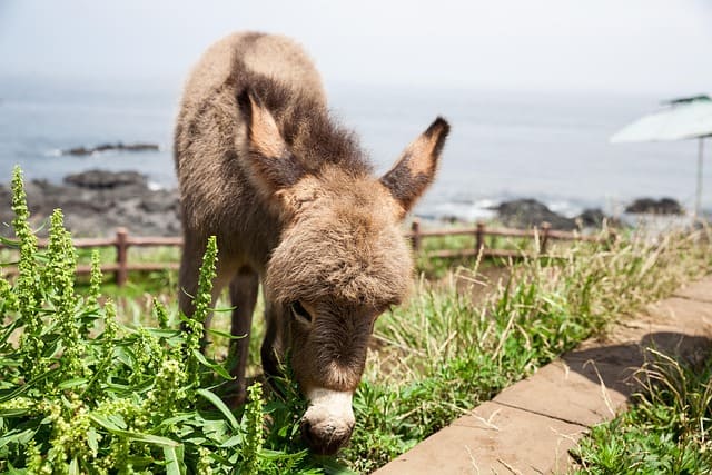 인터파크 국내여행