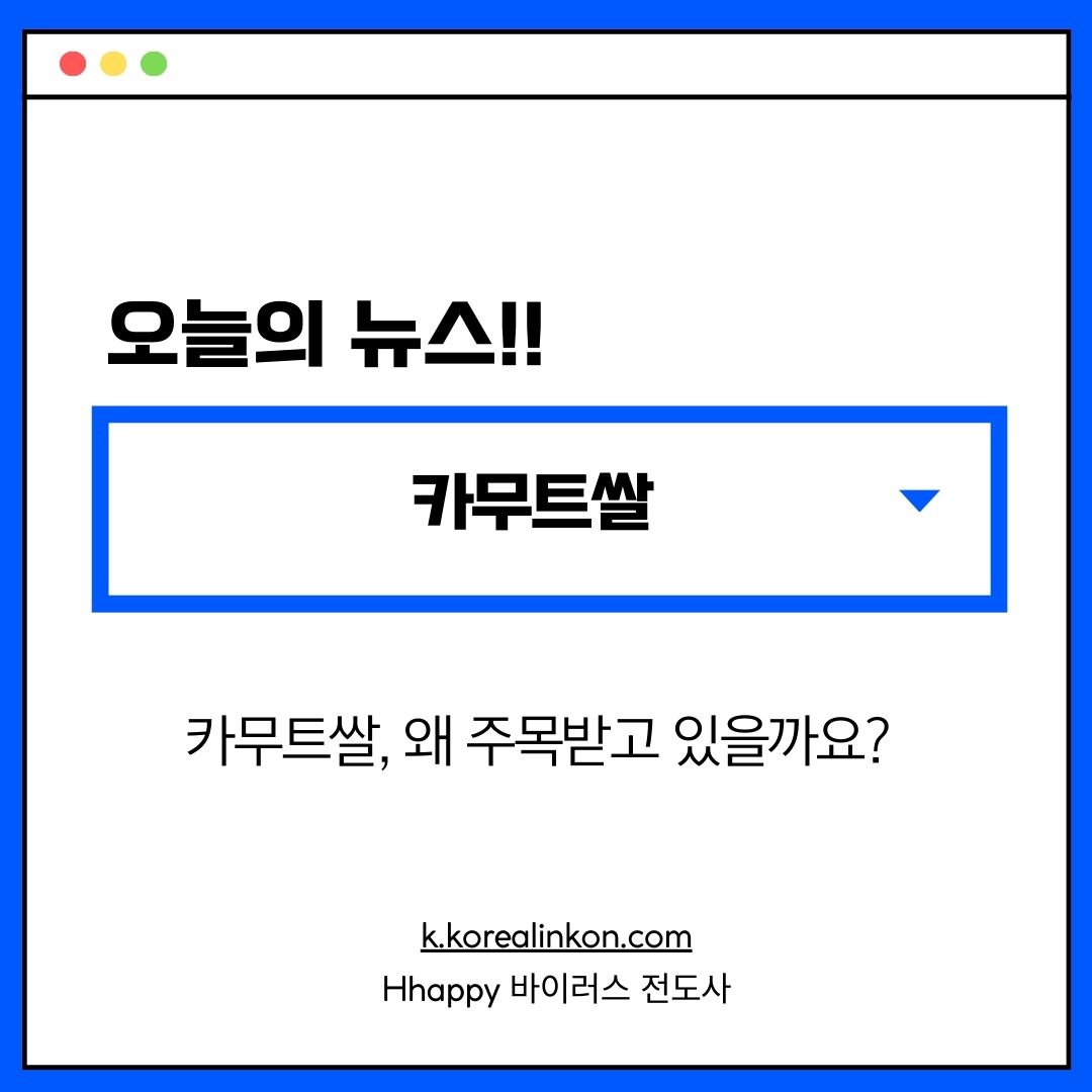 카무트쌀 놀라운 건강 효능과 섭취 방법