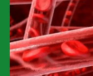 심혈관질환예방