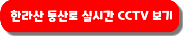 한라산 등산 전 실시간 날씨 확인 (등산로별 CCTV)