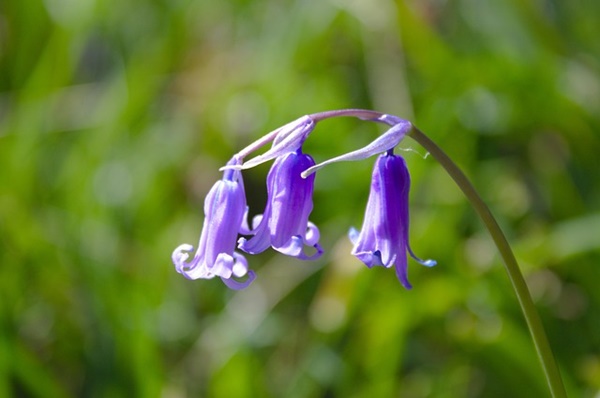 60대 무료로 배울 수 있는 자격증 과정, 인생 2막을 준비하는 똑똑한 선택