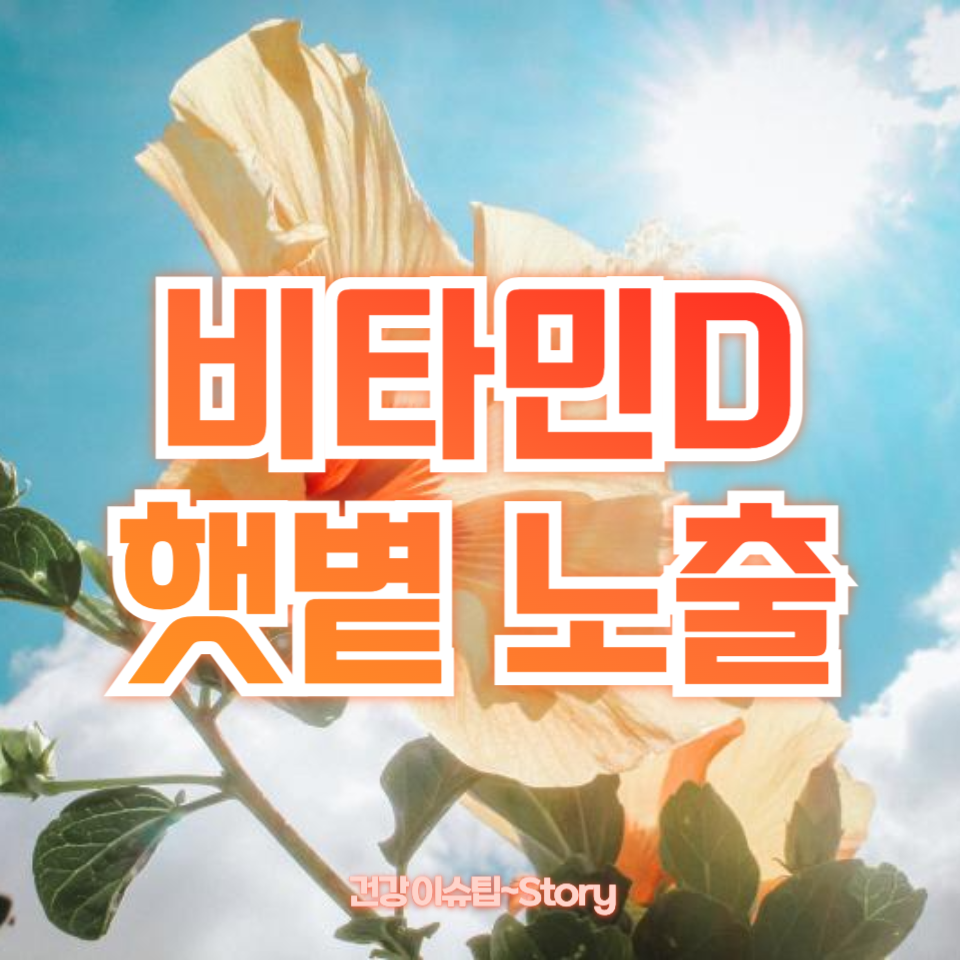 비타민D 햇볕 노출