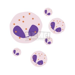 백혈구 수치가 낮은 이유