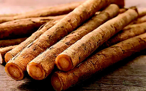 췌장암에 좋은 음식