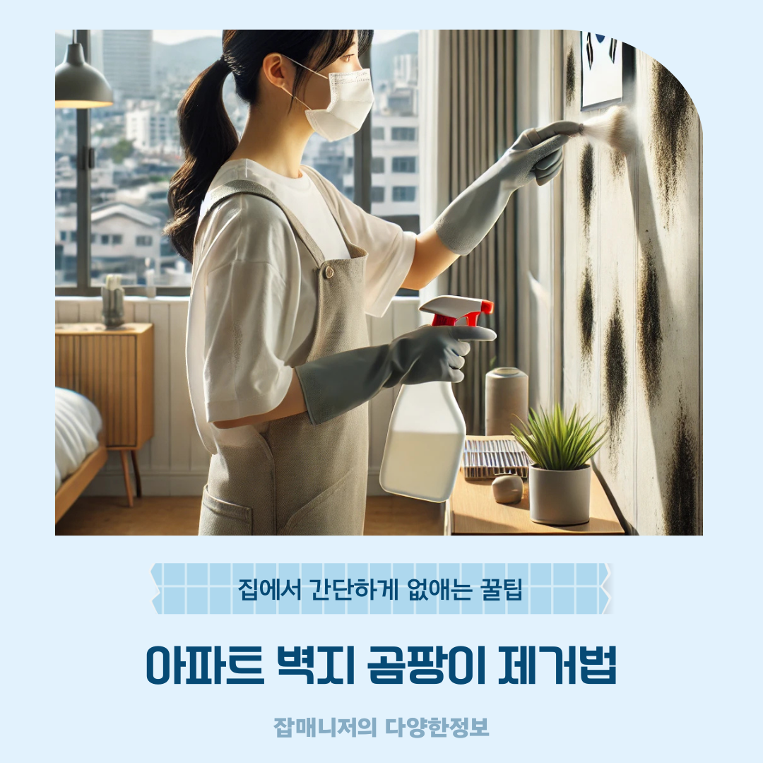 아파트 벽지 곰팡이 제거법 ❘ 집에서 간단하게 없애는 꿀팁