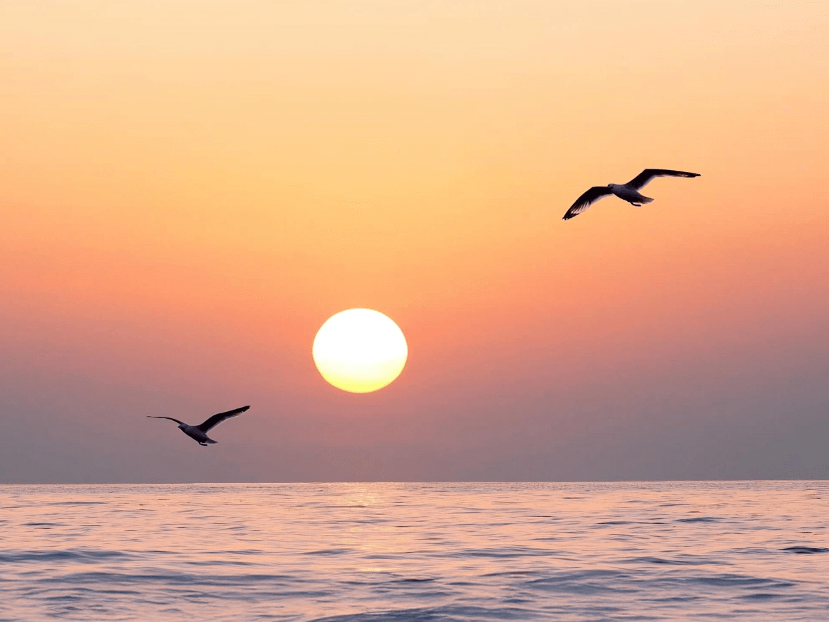 강원도 일출 명소 추천