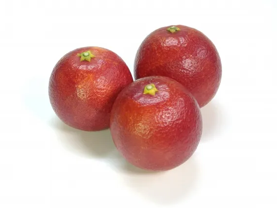 산화 스트레스 줄이는 모로 오렌지