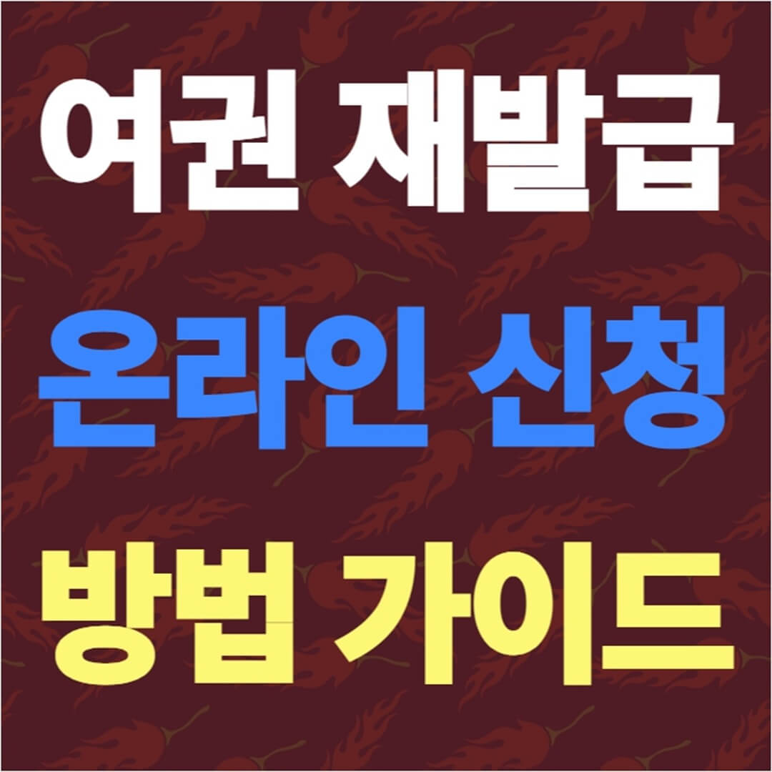 여권 재발급 온라인 신청 방법 가이드