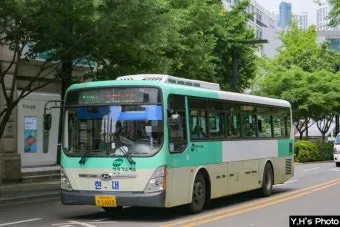 대구 시내버스 첫차시간 노선별 운행정보와 이용 꿀팁_18