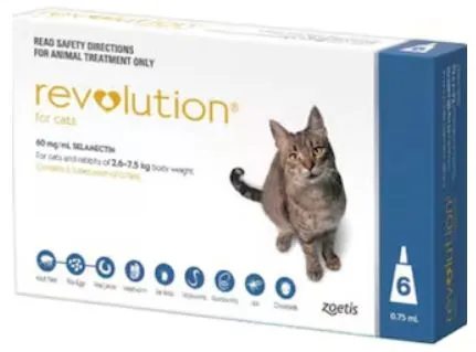 고양이-심장사상충-약-레볼루션