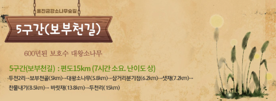 울진 금강소나무숲길