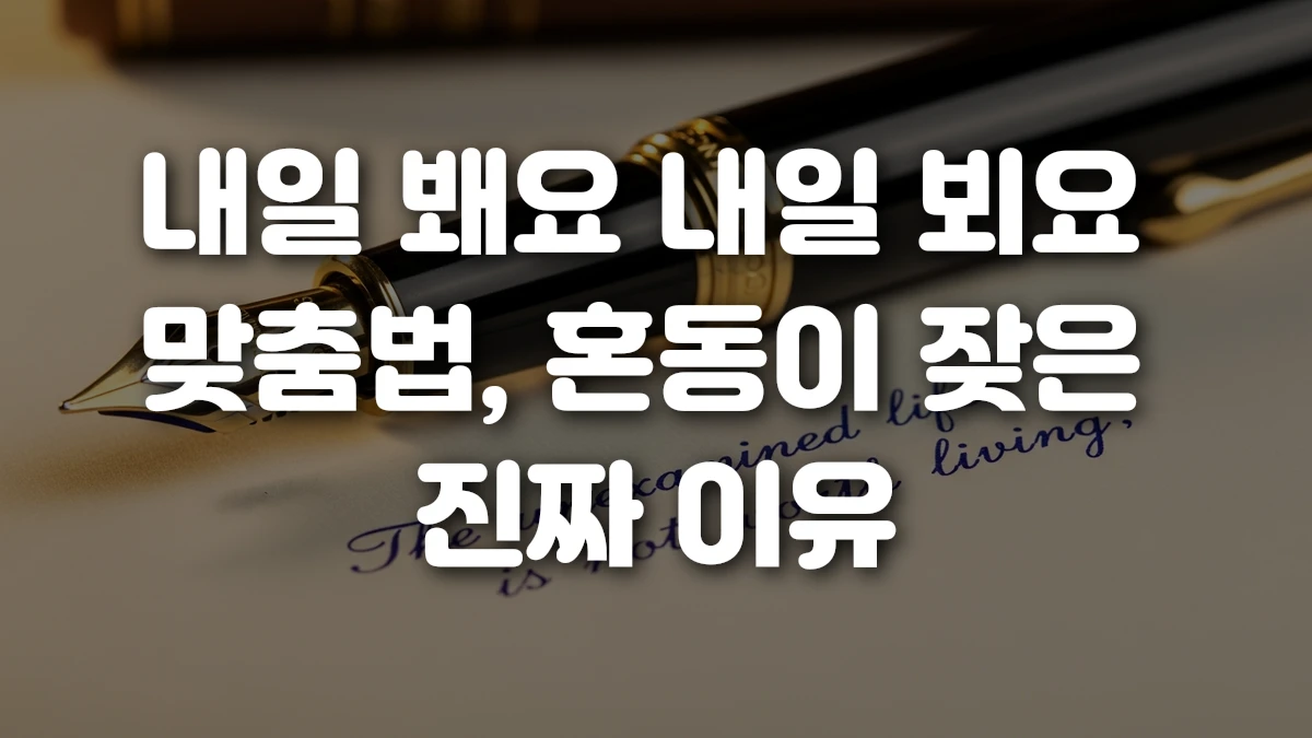 내일 봬요 내일 뵈요 맞춤법 혼동이 잦은 진짜 이유