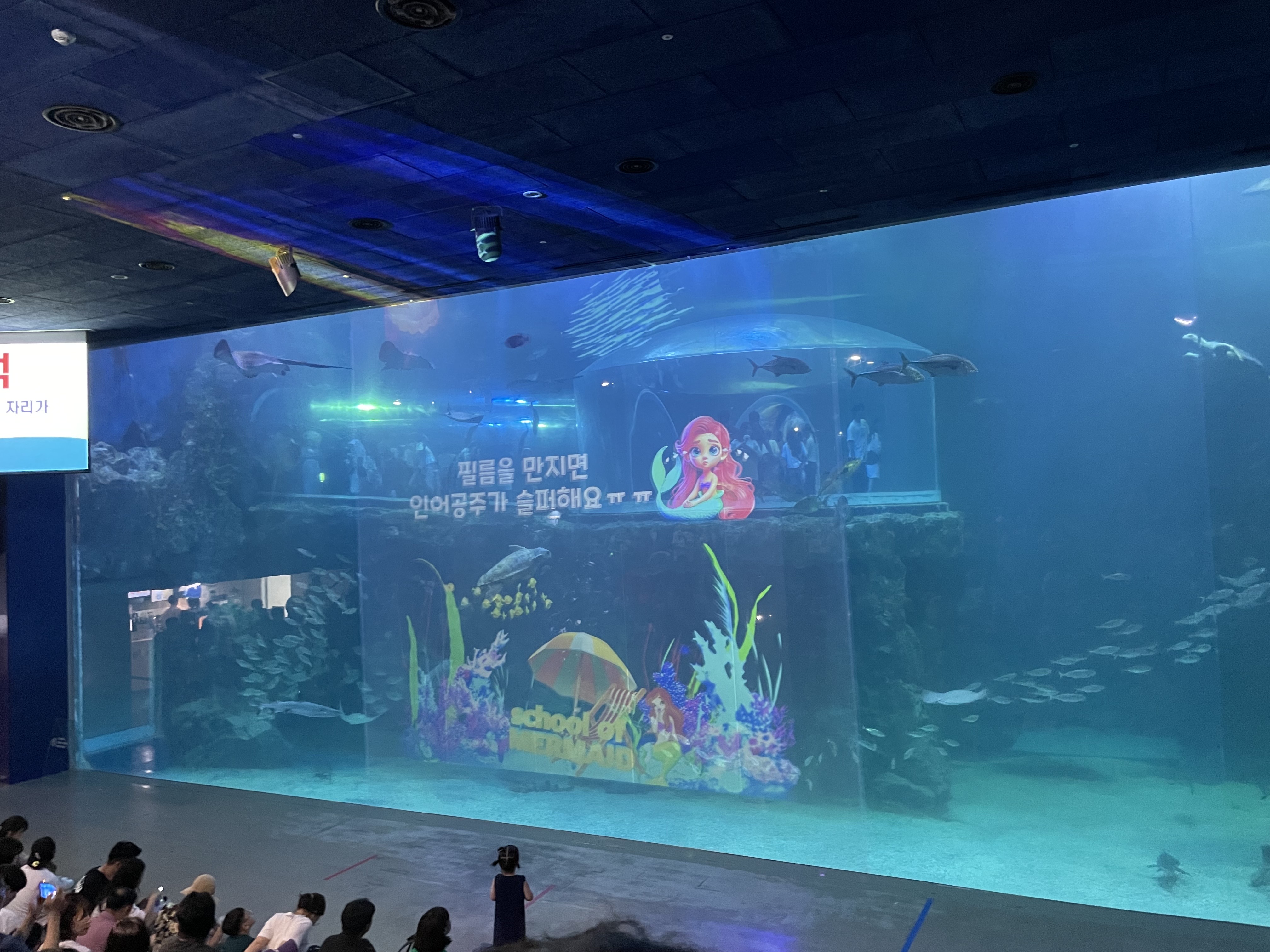 여수 아쿠아플라넷