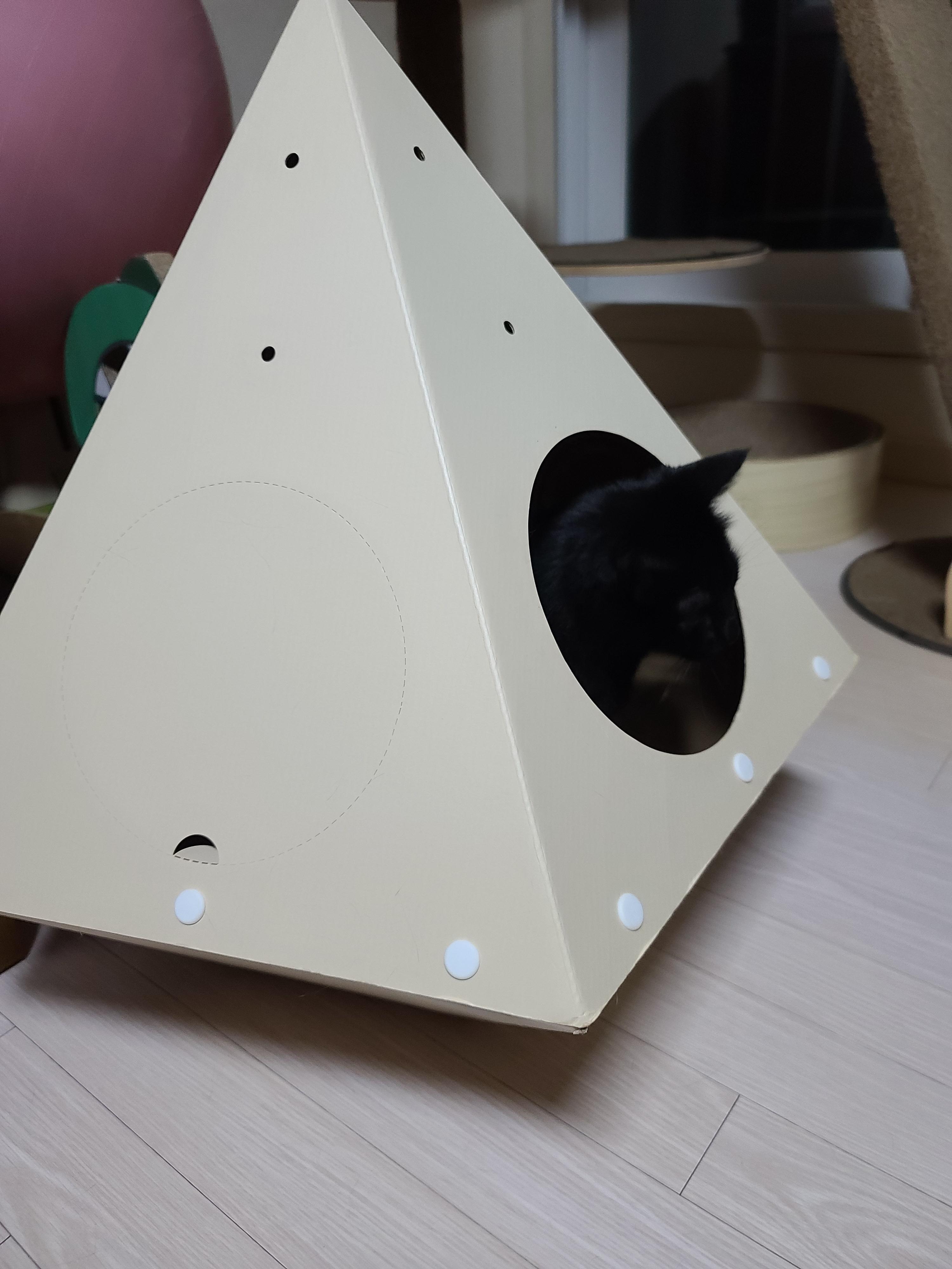 어서와~ 캣미로 루프탑은 처음이지?