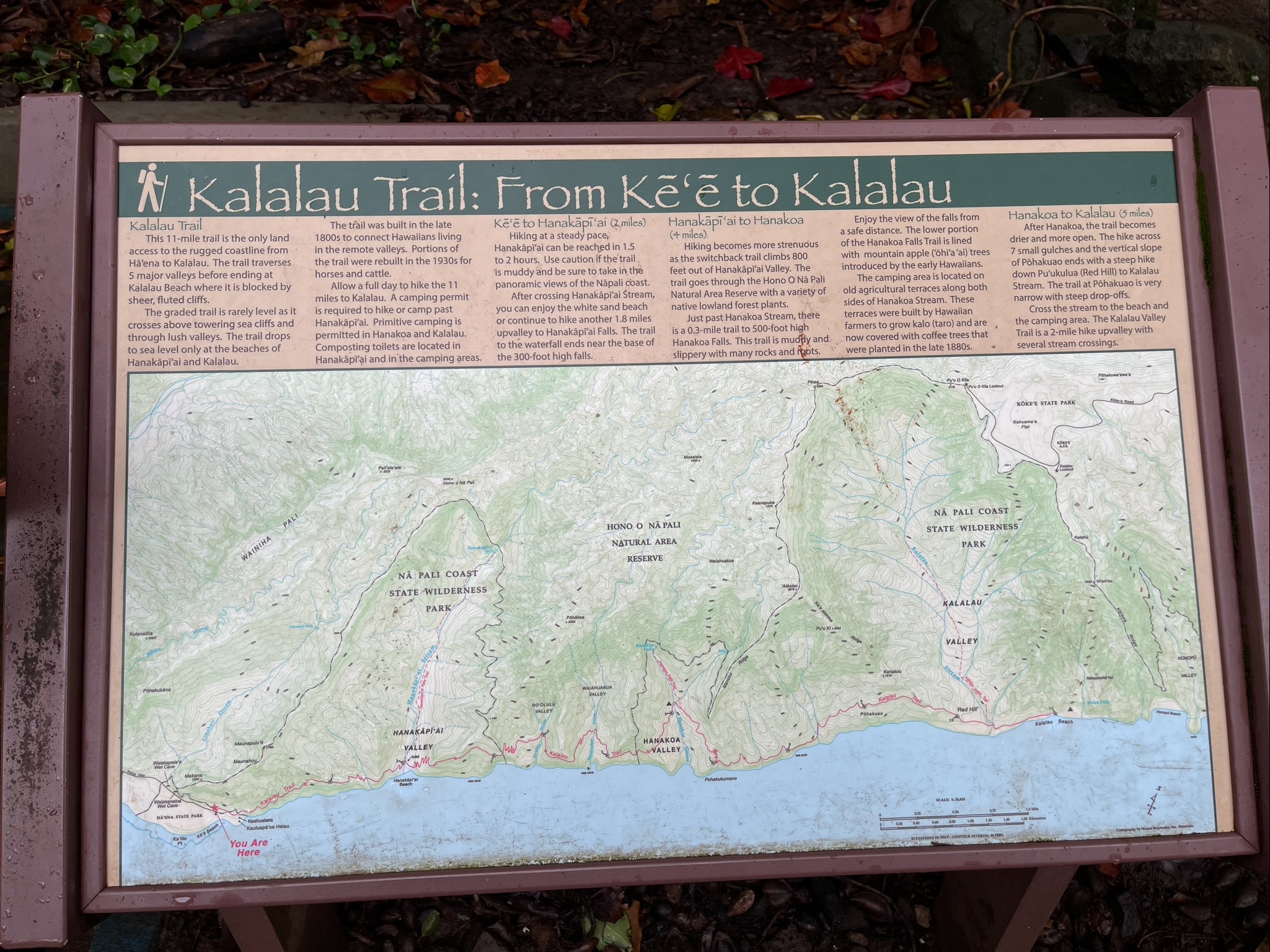 미국 하와이 하이킹 백패킹 여행