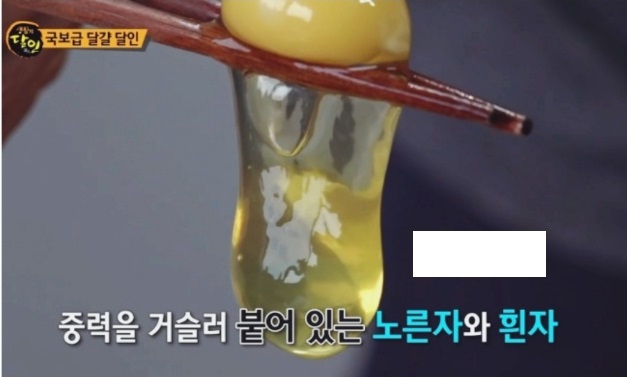 동네한바퀴-경기도-연천-유정란-유나네자연숲농장-달걀달인