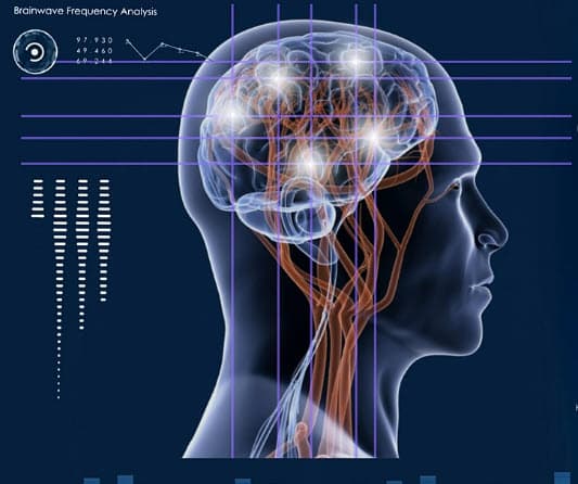 초등 뇌를 깨우는 생활 수업_과학으로 설계하는 초등학생 뇌교육 로드맵