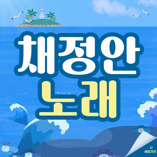 채정안 노래