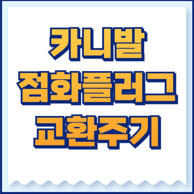 카니발 점화플러그