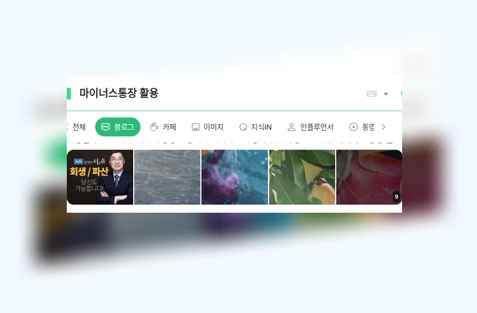 마이너스통장 활용_1_subsection