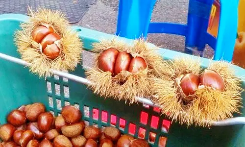 충남 공주 산성시장 수산물 알밤 김부각 잔치국수 알밤한우 맛집