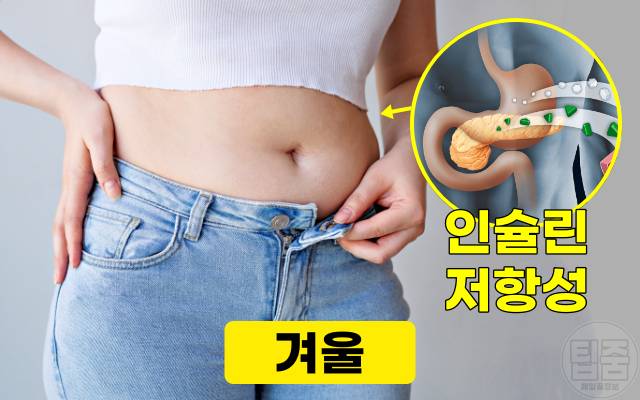 겨울 다이어트,뱃살 찌는 이유,인슐린 저항성