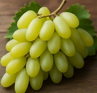 포도 종류
