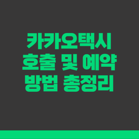 카카오택시 호출 및 예약방법