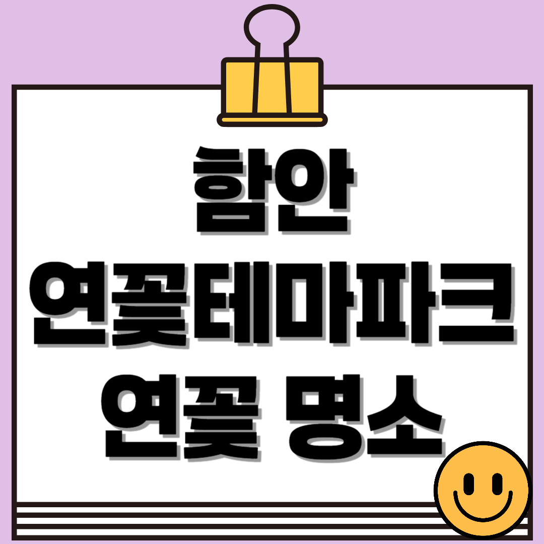 함안 연꽃테마파크, 여름이면 꼭 가봐야 할 연꽃 명소 총정리!