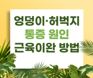 엉덩이·허벅지 통증 원인과 근육이완 방법 완벽정리