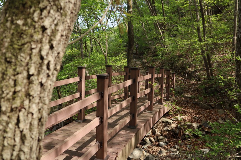 [명품숲길 50선 가을단풍 산행 ⑦] 충북 보은 속리산둘레길 : 말티재&middot;법주사 단풍과 정이품송이 어우러진 가을 명품길