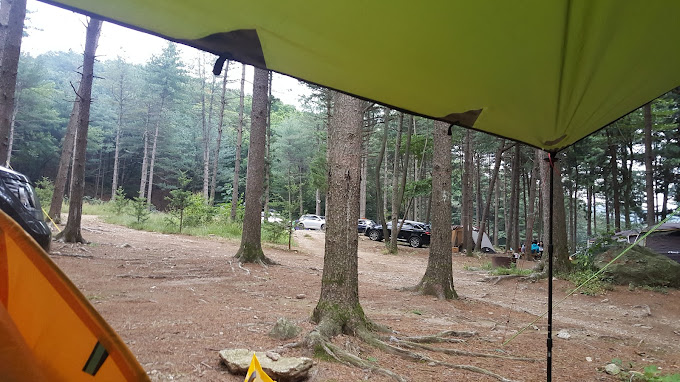 남양주 숲속캠핑, 팔현캠프 미리보기