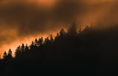 실시간 산불위치