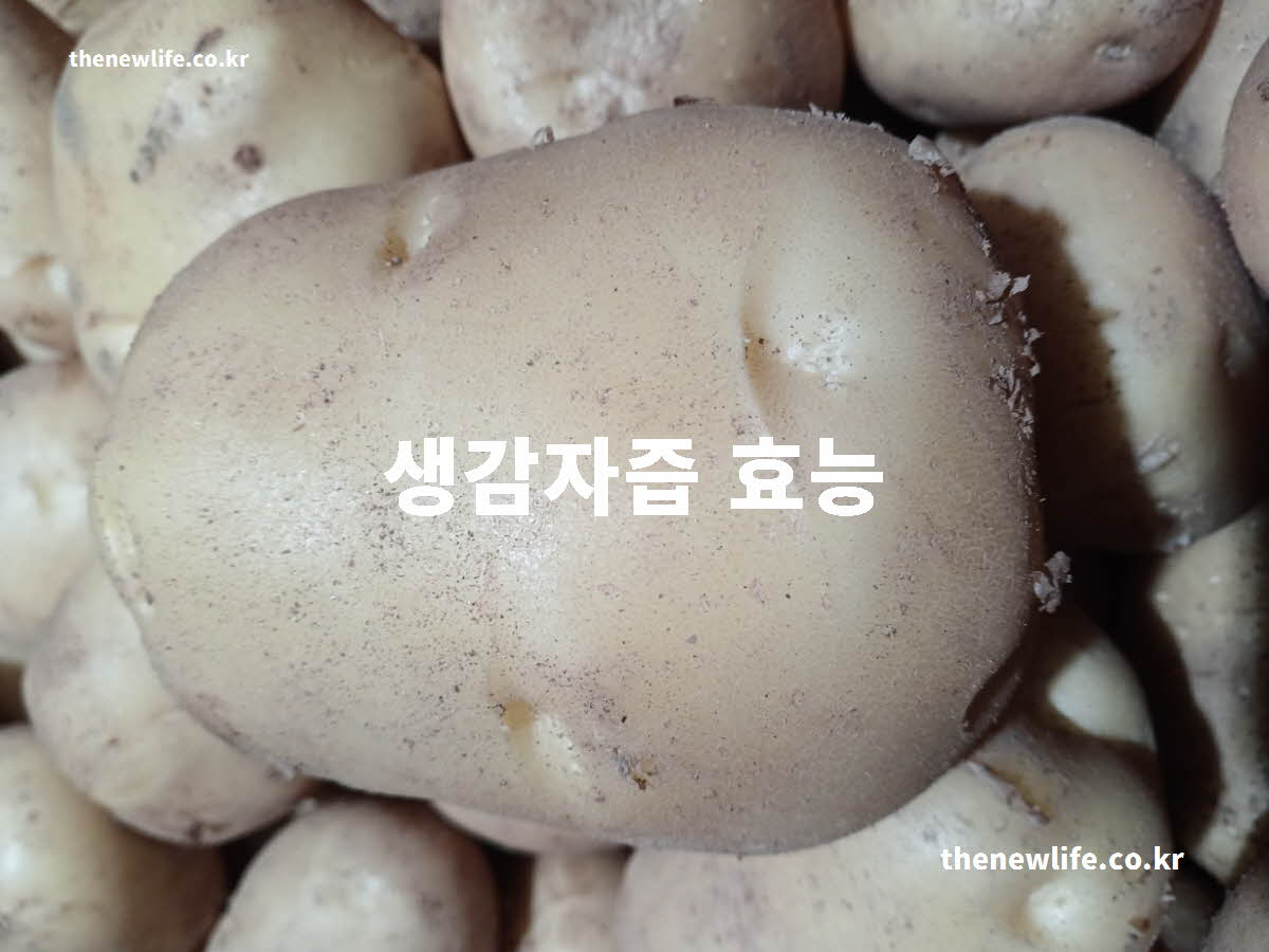 생감자즙 효능 대표 실사진