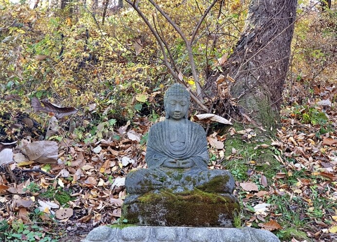 남양주 봉인사 : 조선 왕실의 숨결이 깃든 광해군의 슬픔과 천년의 고요가 머무는 힐링 사찰