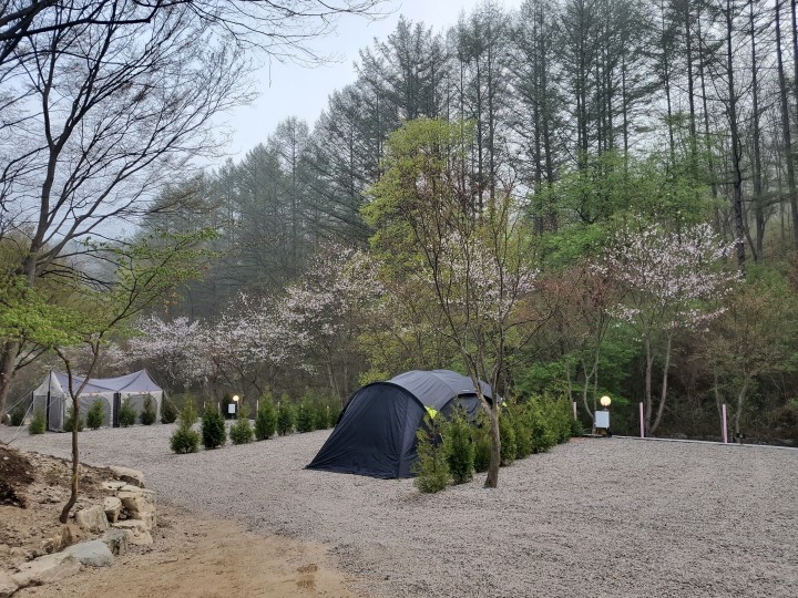 포천 아버지의숲 산정캠프 소개