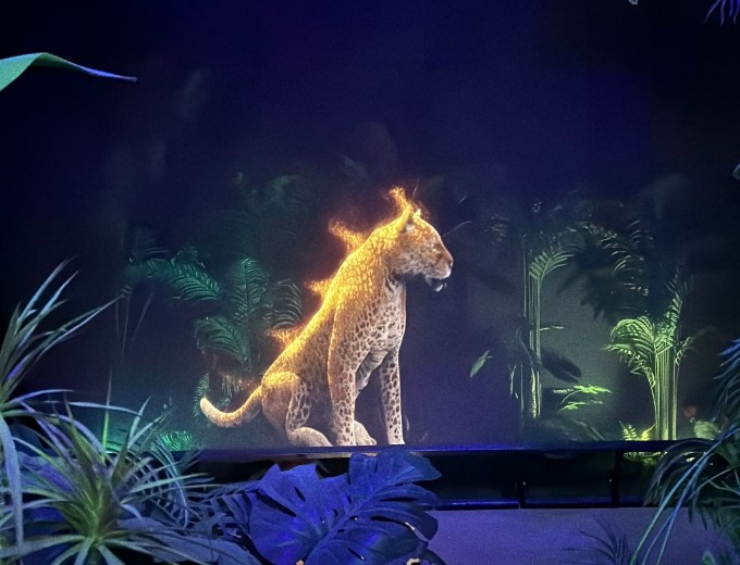 주말 아이랑 가기 좋은 곳 추천 - 글로우 사파리