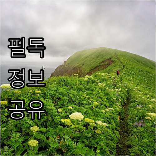 2025 공사계획신고 한국전기안전공사..