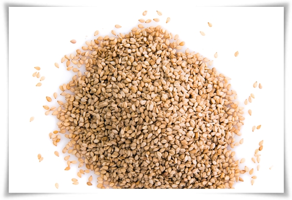 텃밭 "5월, 참깨 심으세요!" 향긋한 꼬소함이 톡톡, 텃밭에서 직접 키우기!