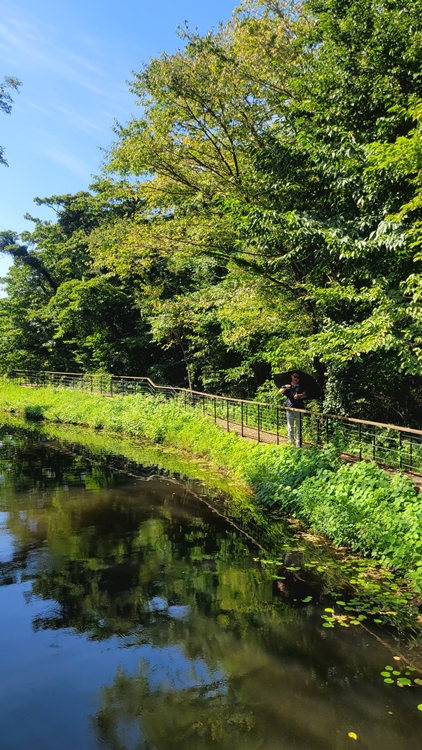 제주가족여행-곶자왈-기차여행-에코랜드 테마파크