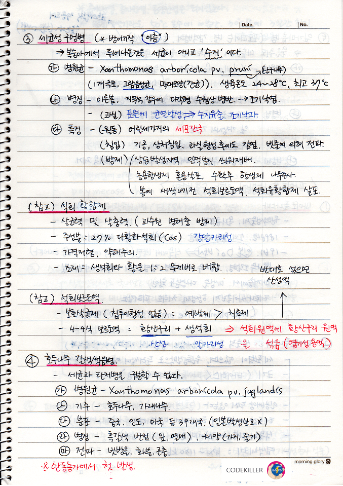 세균구멍병 (세균성 구멍병)&#44; 호두나무 갈색썩음병