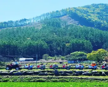 원주 용수골 꽃양귀비 축제_10