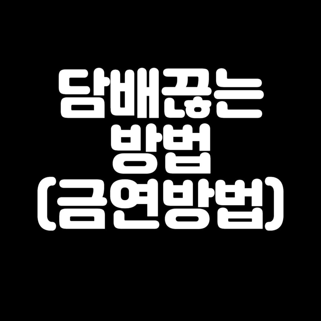 담배끊는법