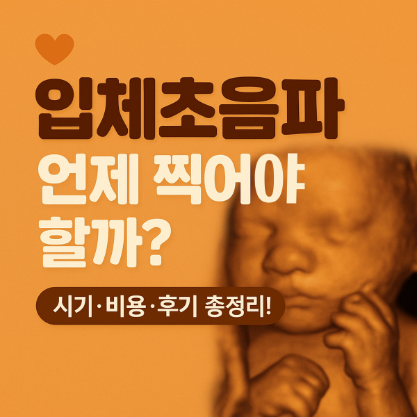 입체초음파로 보는 태아사진