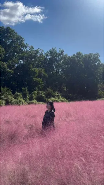 평택 바람새마을 핑크뮬리 가을 여행 인생샷 명소 추천으로 안내_9