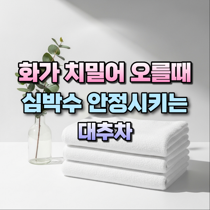 화가치밀어오를때심박수안정시키는대추차