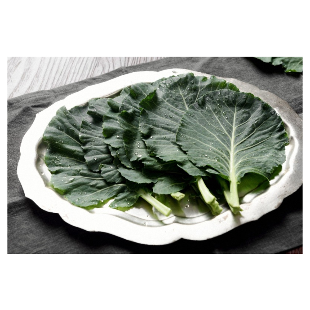 골다공증과 관련된 사진입니다.